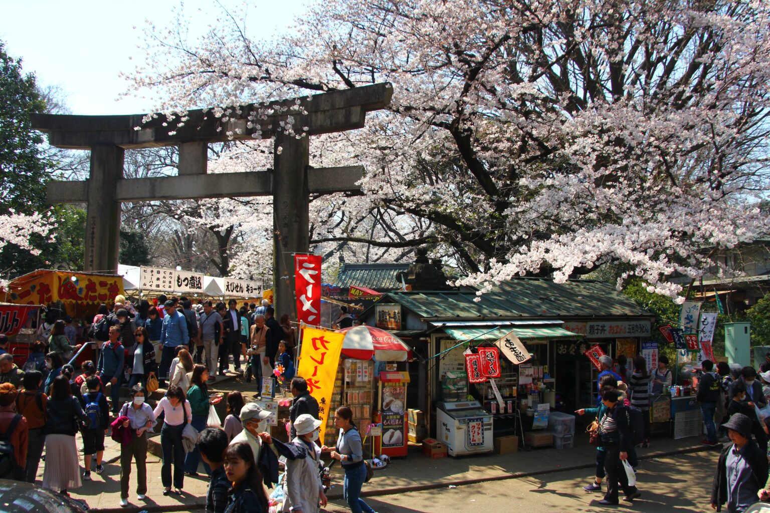 Famous Places For Cherry Blossoms In Tokyo Tabimania Japan