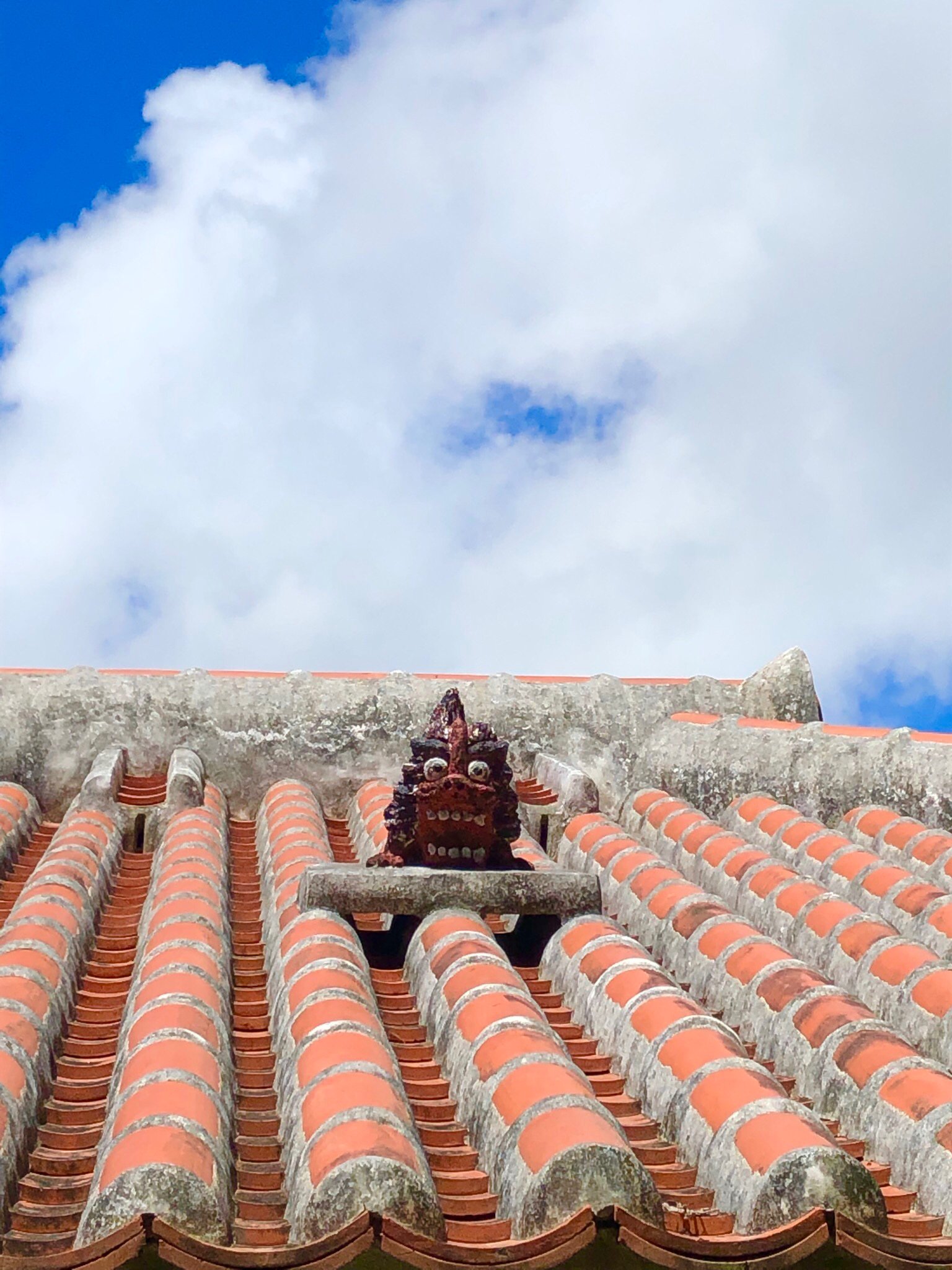 Shisa on the roof