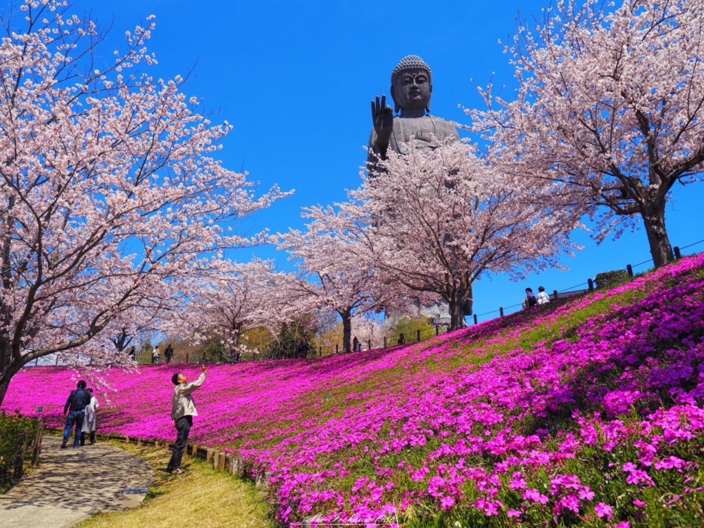 World's Largest Bronze Statue "Ushiku Daibutsu" | Tabimania Japan