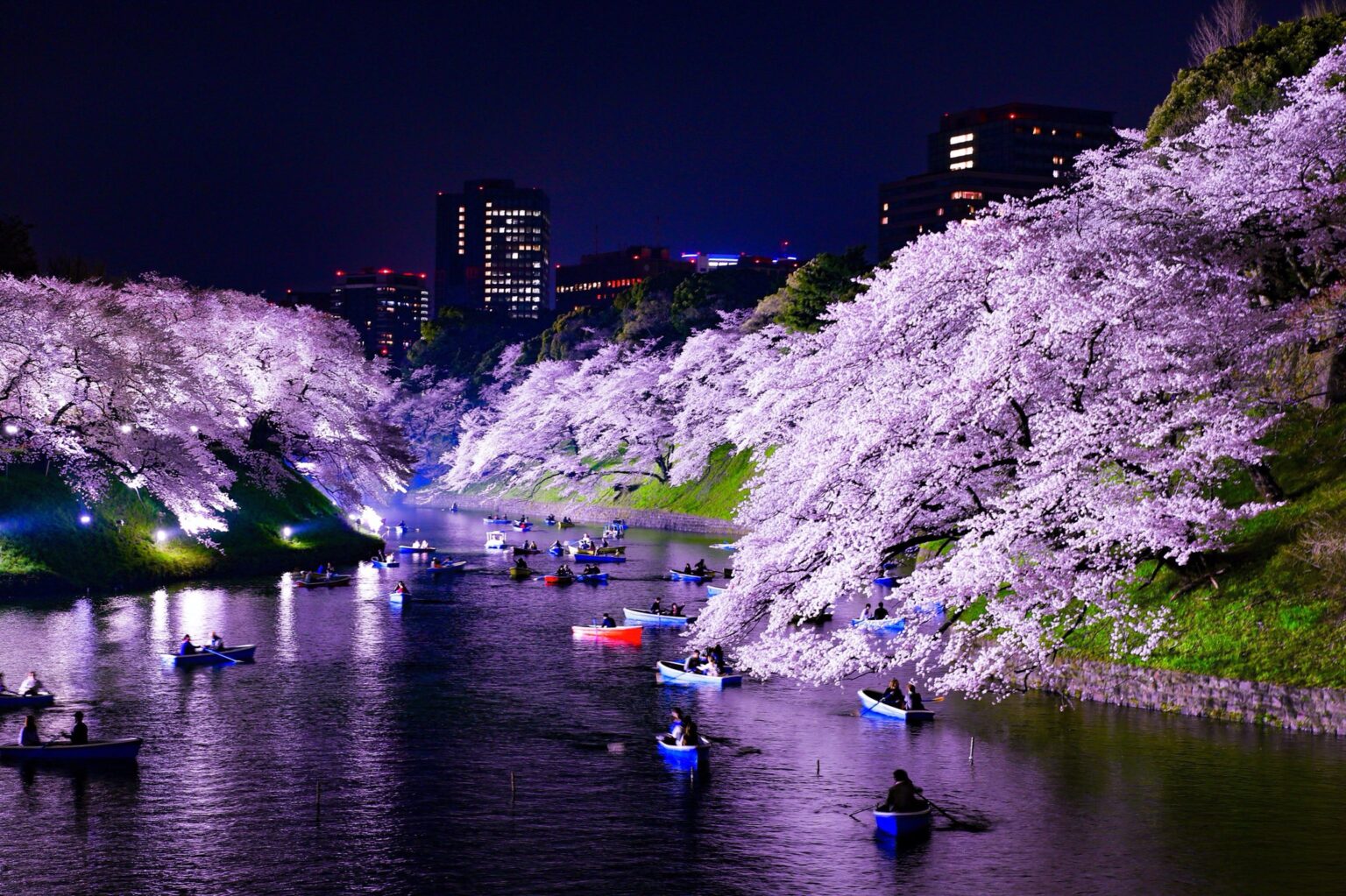 Famous places for cherry blossoms in Tokyo Tabimania Japan