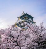 Famous 11 Places for Sakura Cherry Blossoms in Osaka