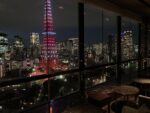 The Best of Tokyo: 25 Hotels Selected by Japanese for Unforgettable Stay