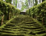 Must-Visit in Kamakura: Sugimotodera, the Ancient Moss-Covered Temple