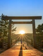 Torii Gates in Japan: The Ultimate Guide to Their Meaning, Designs, and Famous Spots