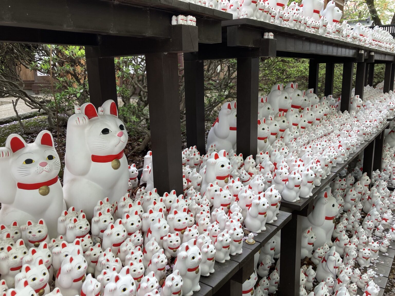Gotokuji Temple The Birthplace of the Lucky Maneki neko Cat