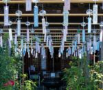 Feel the Magic of Summer at Nara’s Ofusa Kannon Temple