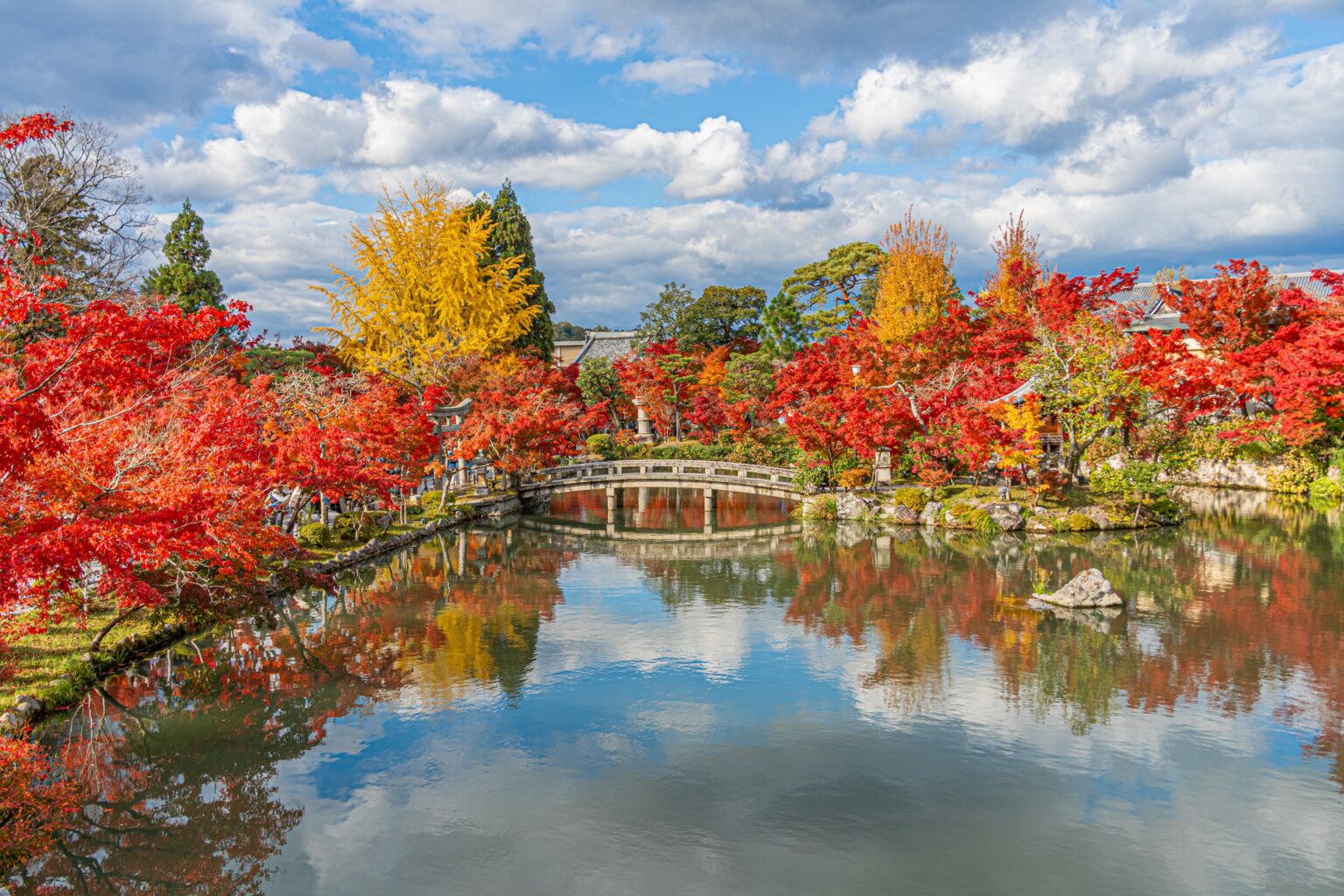Autumn Leaves in Kyoto Best Spots to See Stunning Fall Colors_Eikando ...
