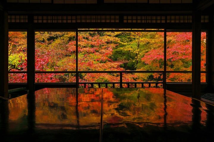 Autumn Leaves in Kyoto: Best Spots to See Stunning Fall Colors