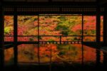 Autumn Leaves in Kyoto: Best Spots to See Stunning Fall Colors