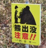 Bear Warning in Japan 2025: How to Stay Safe While Hiking and Traveling