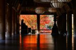 Best Autumn Leaves Spots in Nara: A Dreamlike Day Trip from Osaka or Kyoto