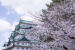 Best Cherry Blossom Spots in Aichi, Japan