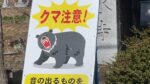 Japan Bear Safety Guide 2026: Staying Safe After Hibernation