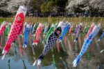 5,000 Koinobori in the Sky: Tatebayashi Festival 2026 Travel Guide