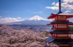 Beyond the Gates: Discover Japan’s Most Breathtakingly Beautiful Shrines