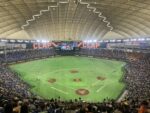 How to Watch Professional Baseball in Japan: Tickets, Teams, and Etiquette