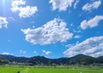 Why is Japan’s Summer So Dangerous? Heat Survival Guide