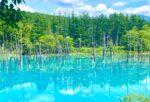 Is Biei Blue Pond Really Blue? The Truth & Guide