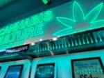 Is Marijuana Legal in Japan? What you Must Know