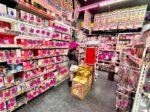 Japan Adult Toy Guide: High Quality, Varieties & Where to Buy