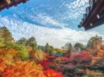 Japan Weather in November: What to Wear and Packing Guide