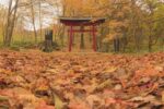 Japan Weather in October: What to Wear and Packing Guide