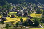Takayama & Shirakawa-go Day Tour from Nagoya: The Ultimate Year-Round Guide