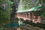 Exploring Akiyoshido Cave: A Hidden Underground World in Yamaguchi, Japan