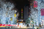 Japan Weather in December: What to Wear and Packing Guide